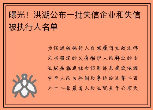 曝光！洪湖公布一批失信企业和失信被执行人名单